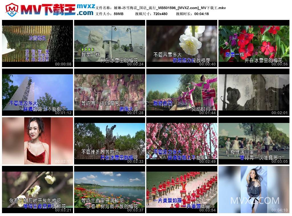 娅琳-冰雪梅花_国语_流行_MB501596